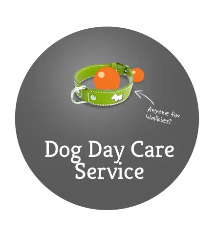 DayCare
